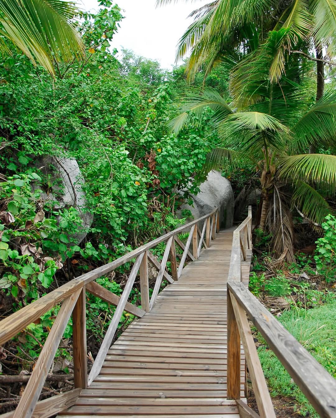 Santa Marta con Rainbow Journeys - Imagen 14