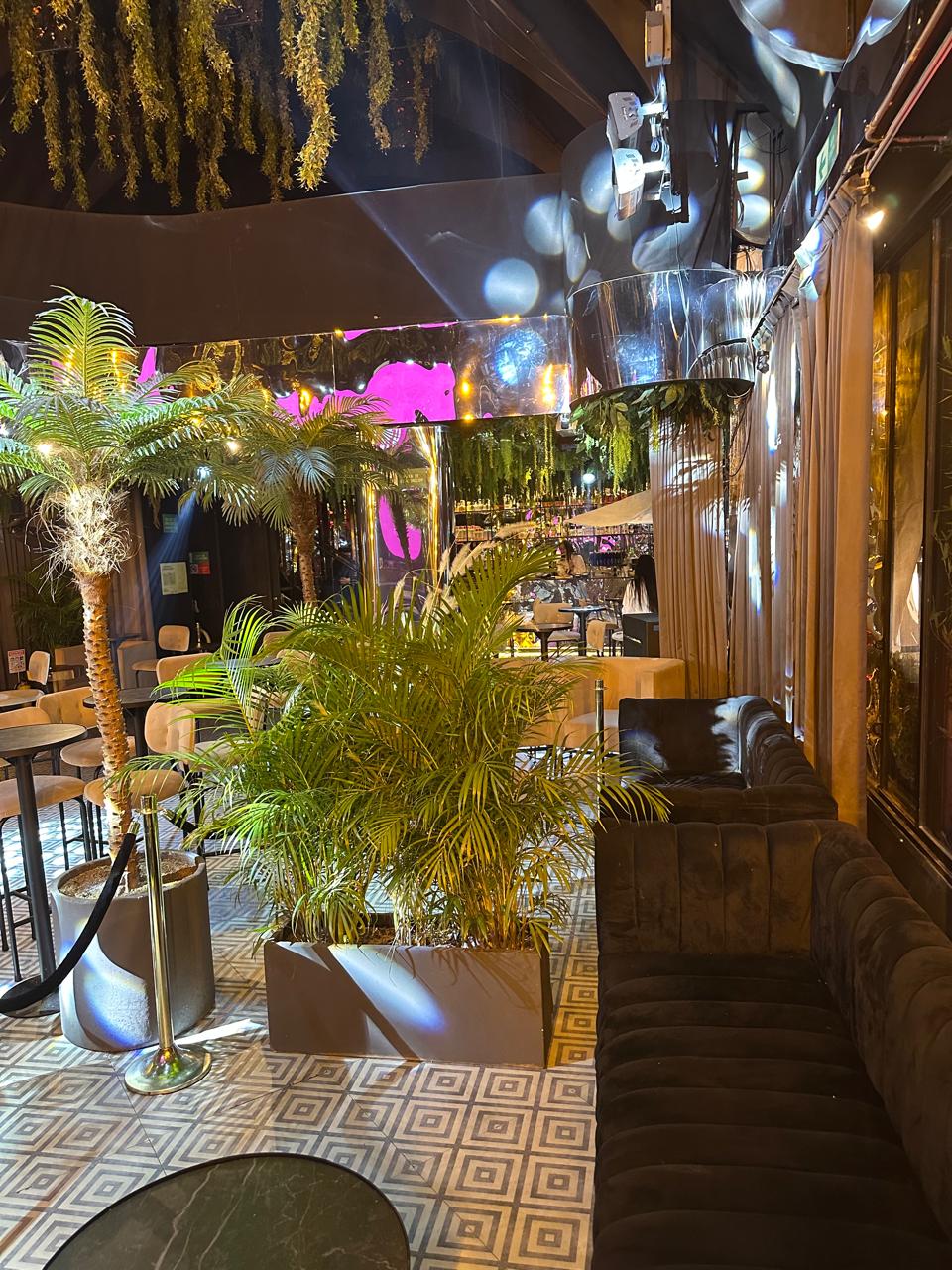 🎉 CapriClub – Reservas exclusivas para tu evento - Imagen 17
