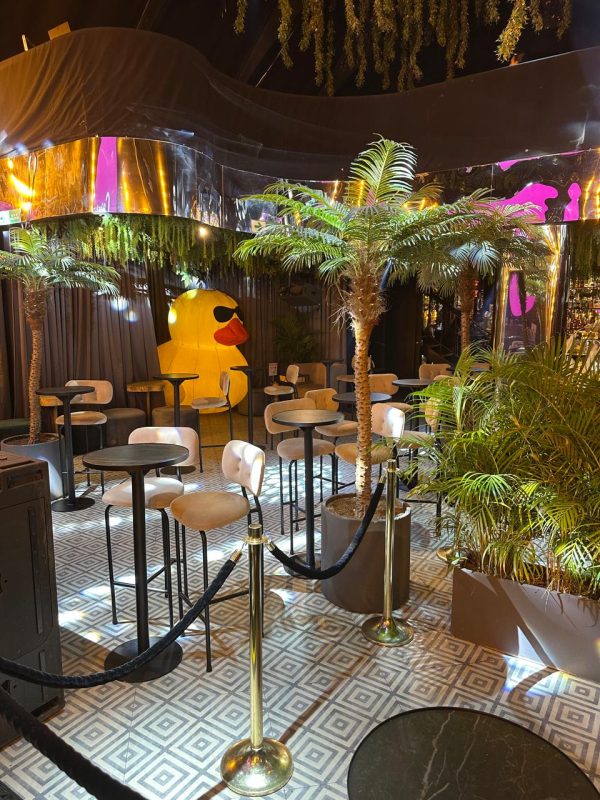 🎉 CapriClub – Reservas exclusivas para tu evento - Imagen 20