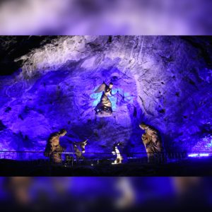 ✨ Tour de un Día: El Dorado y la Maravilla de Sal ✨
